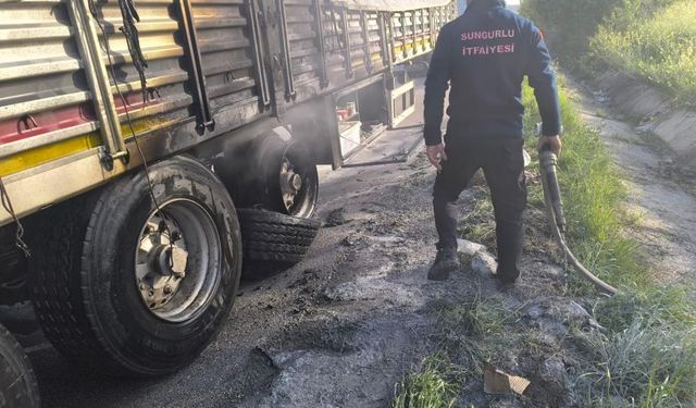 Seyir halindeki tırın dorsesi alev aldı: 1 yaralı