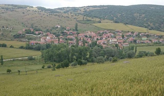Çorum'da 65 hazine arazisi satışa çıkarıldı! İşte o köyler ve ihale tarihi...