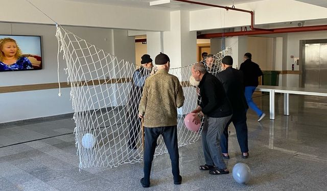 Yaşlılara fiziksel  aktivite etkinliği