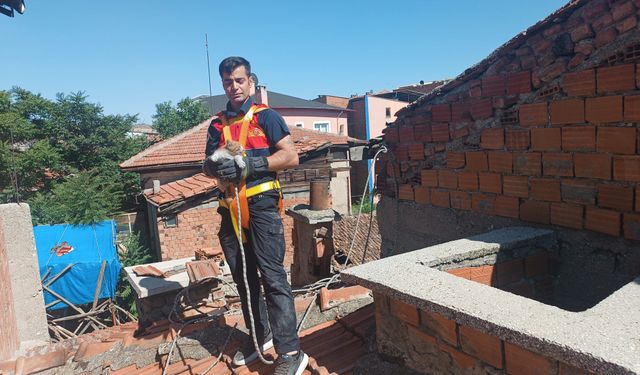 Çorum’da havalandırma boşluğuna düşen yavru kedi kurtarıldı