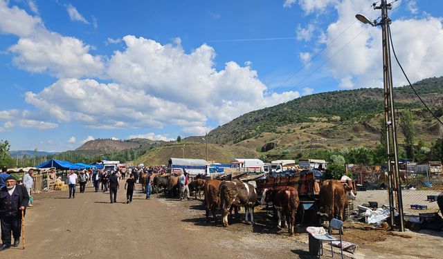 Bayat’ta kurban pazarında  hareketlilik sürüyor