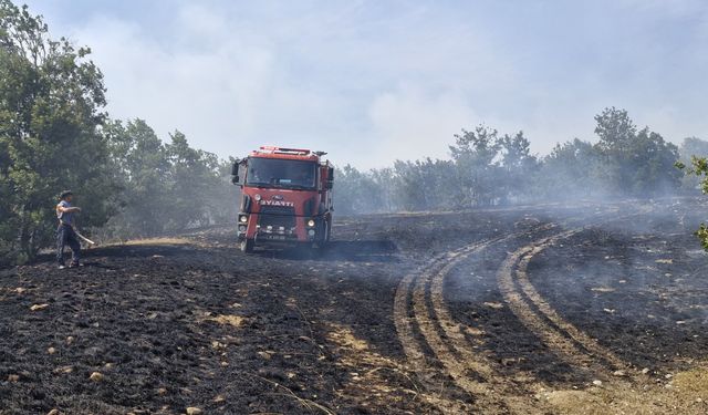200 dönüm ekili arazi kül oldu