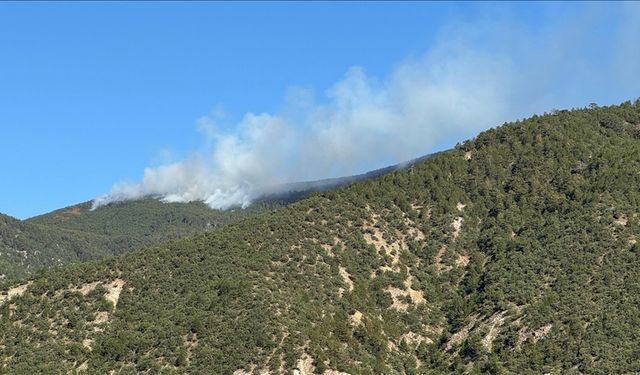 Ilgaz’da çıkan yangın kontrol altına alındı