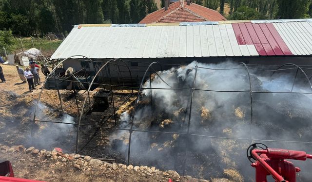 550 balya ot kül oldu