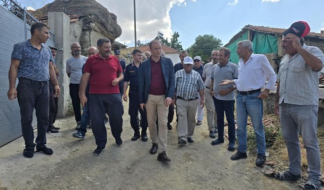 Kaymakam Dinçer  yanan alanı inceledi