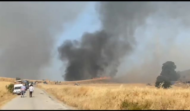 Mecitözü'nde ekili alanda çıkan yangına müdahale sürüyor