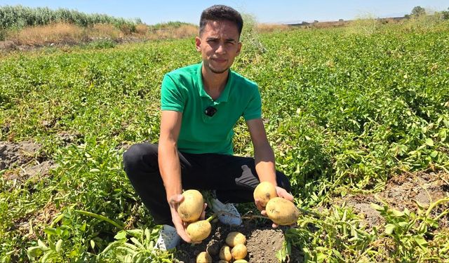 8 ton patatesi halka ücretsiz dağıttı