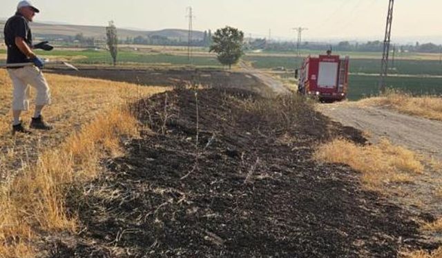 Çorum'da 15 dönüm buğday ekili tarla alevlere teslim oldu