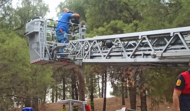 Osmancık Kent Ormanı’na  güneş enerjili aydınlatma