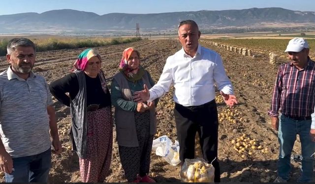 Emeği para etmeyen üretici patatesleri bedava dağıttı