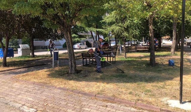 Osmancık’ta boş  arsalarda temizlik
