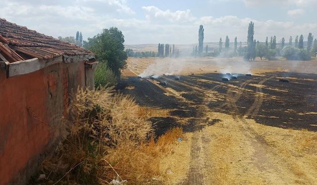 20 dönüm arazi ve 50 saman balyası kül oldu