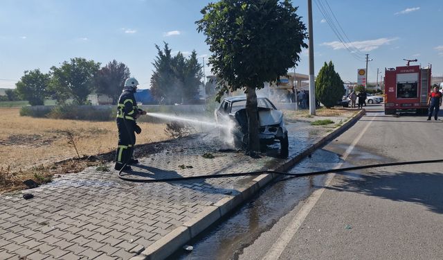 Ağaca çarpan otomobil yandı: 1 yaralı