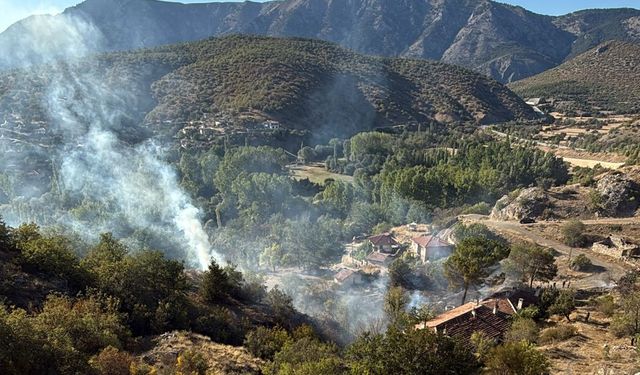 Ormanlık alanda çıkan  yangın söndürüldü