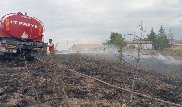 Çorum'da ağaçlık alanda yangın: 10 dekar alan zarar gördü