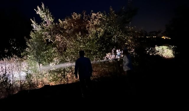 Yol kenarında çıkan  yangın söndürüldü