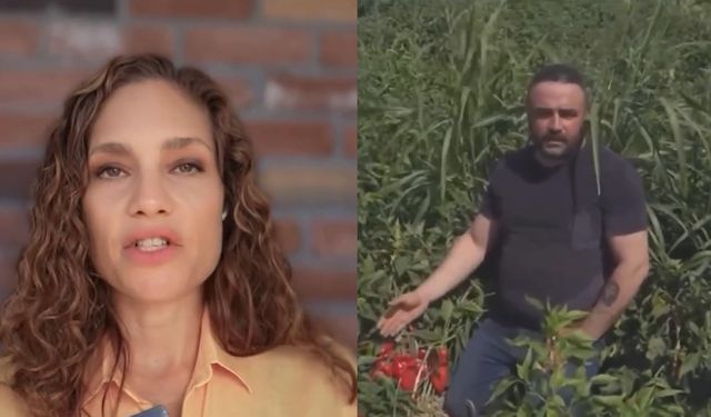 Çorumlu çiftçi tane tane anlattı, Türkiye dinledi: "Artık dayanacak gücümüz kalmadı"