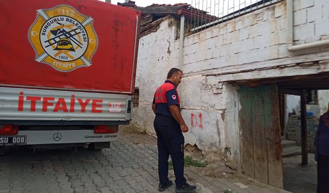Yalnız yaşayan kadın evinde ölü bulundu