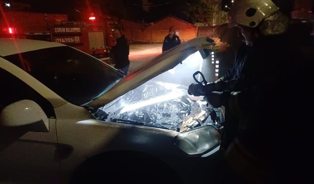 Park halindeki cipi küle  dönmekten itfaiye kurtardı