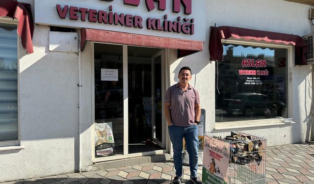 Kargı’da veteriner hekim  ücretsiz mama dağıttı