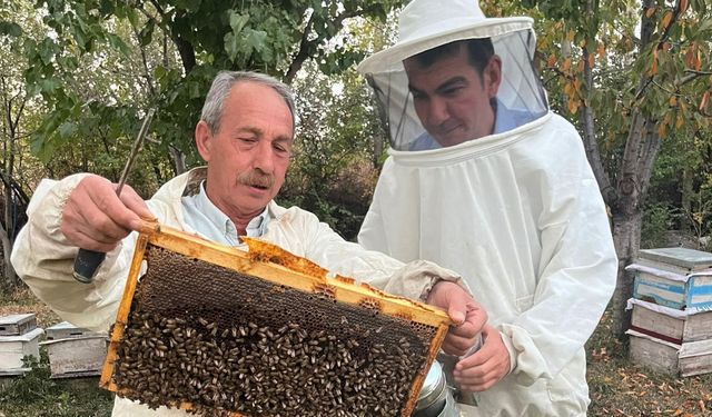 Kaymakam Köksal  bal hasadına katıldı