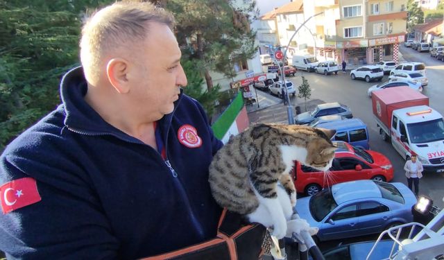 Çatıda mahsur kalan kedi  itfaiye ekiplerince kurtarıldı