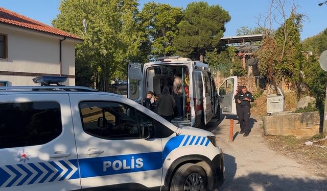 Kestane kavgası: 3 kişi vuruldu