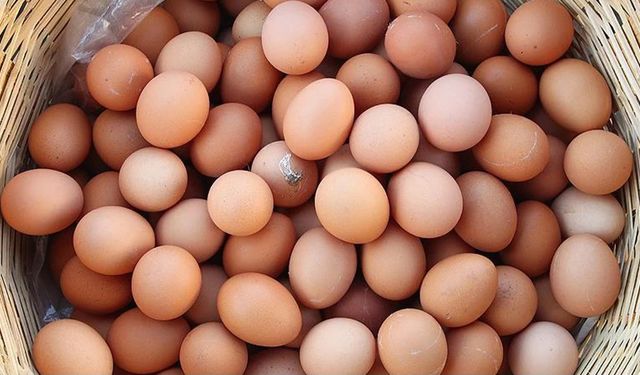 Yumurta fiyatı aldı başını gidiyor
