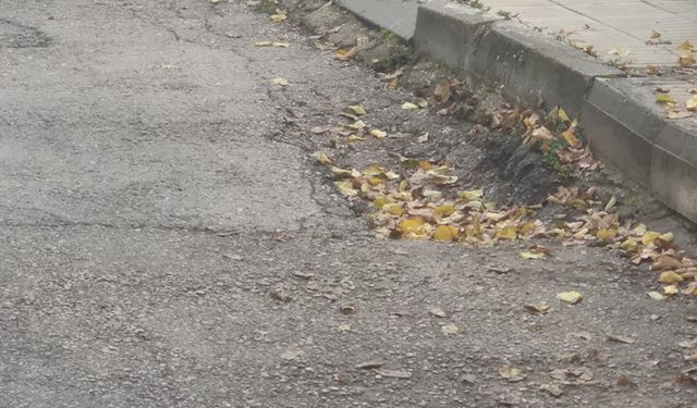 Bozuk yol ve kaldırıma tepki