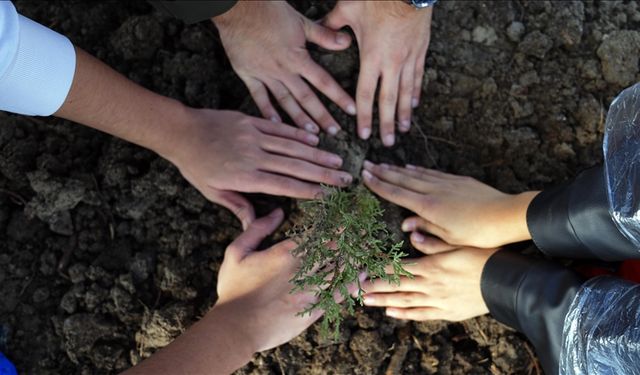 14.9 milyon fidan  toprakla buluştu