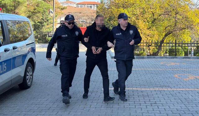 Trafik magandasına adli kontrol