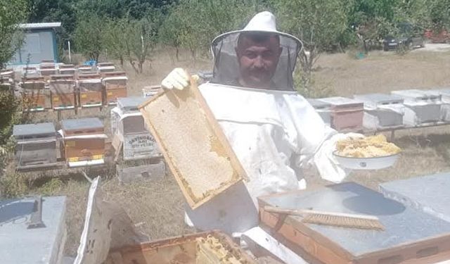 Çorum’da arıcılık kursu başlıyor