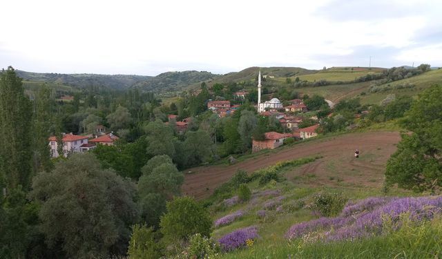Çorum'da 67 hazine arazisi satışa çıktı! İşte ihale tarihi