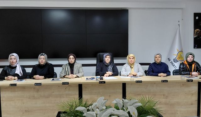 Kayadibi: “Kadına yönelik şiddet insanlık suçudur”