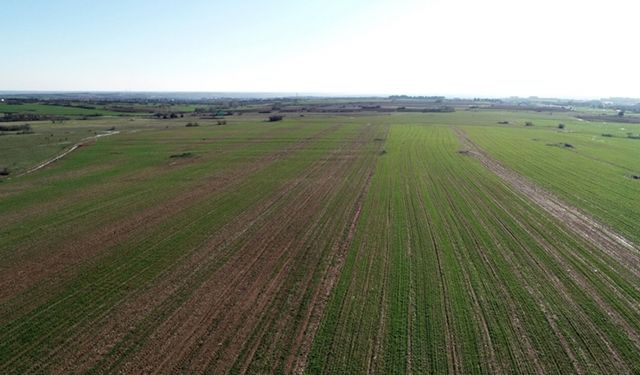 Kiraya verilecek ve satışı yapılacak taşınmazların ihalesi yapılacaktır