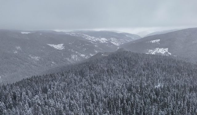 Beyaza bürünen Ilgaz Dağı havadan görüntülendi