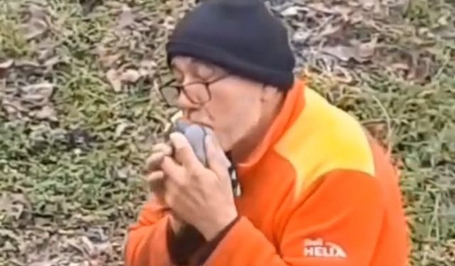 Belediye personeli kurtardığı güvercini öperek doğaya saldı