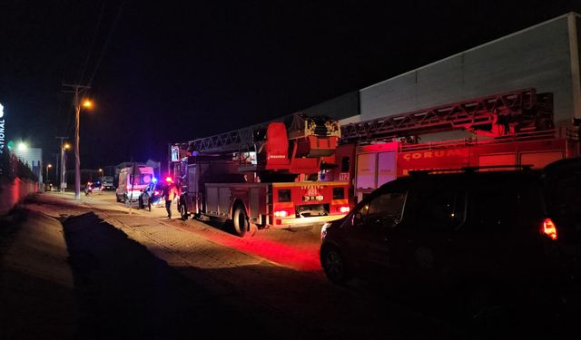 Organize Sanayi'de yangın