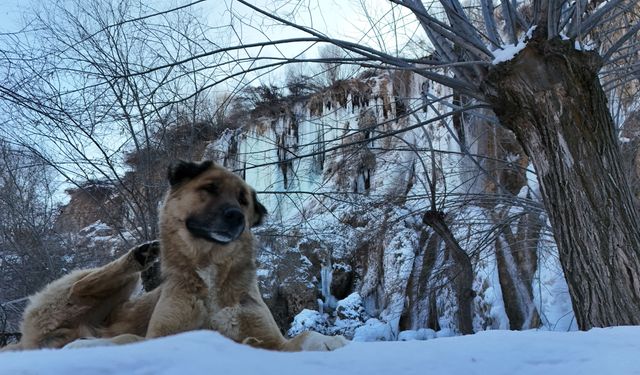 Çorum'da eksi 21,7 derece görüldü! İşte ilimizin en soğuk noktası