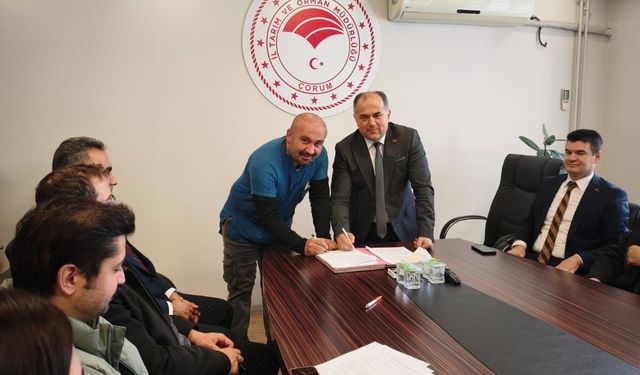 Suni tohumlama çalışmaları başladı