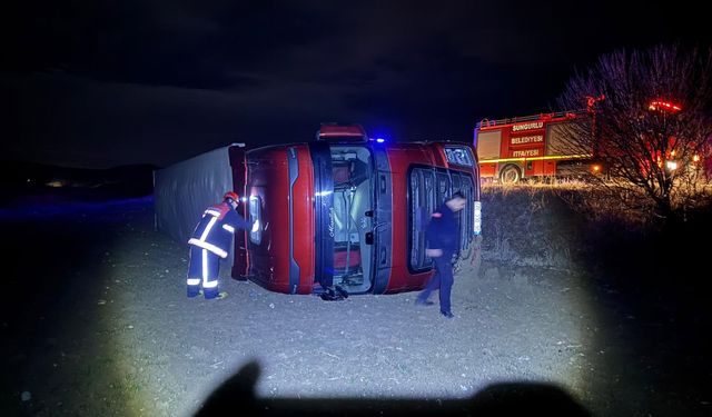 Köpeğe çarpmamak için manevra yapan TIR şarampole devrildi