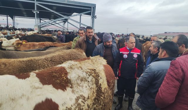 Hayvan Pazarı’nda sağlık  ve hijyen denetimi