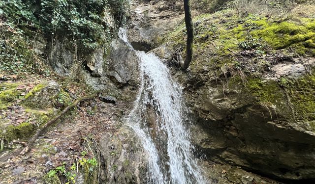 Yağmurlar geldi, Çorum'daki o şelale uyandı