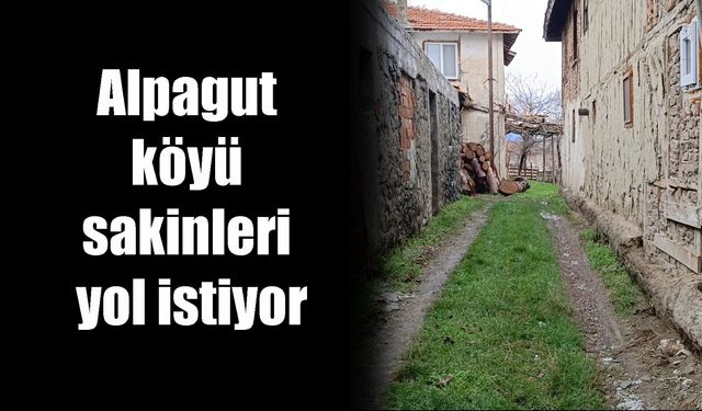 Alpagut köyü sakinleri yol istiyor