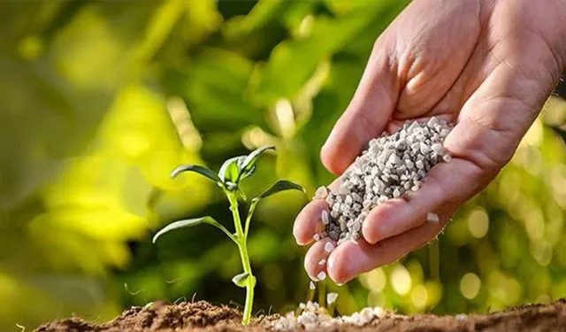 Tohum ve gübre satın alınacaktır