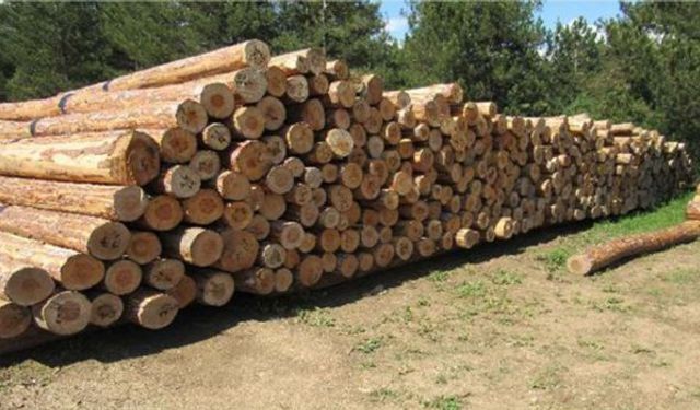 Orman emvali istifleme hizmeti alınacaktır