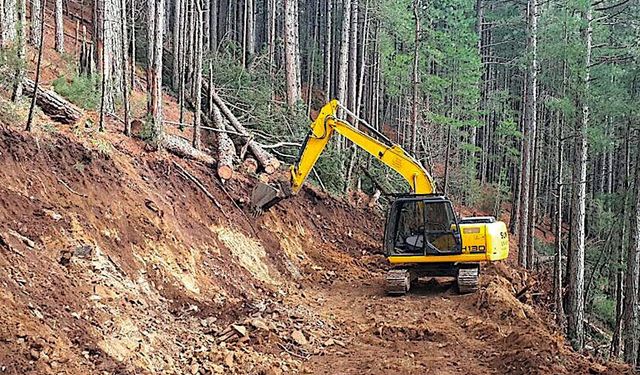 Kuzuluk Orman İşletme Şefliği Orman yolu yapım işi ihale edilecektir
