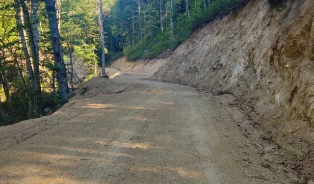Karmış Orman İşletme Şefliği Orman yolu yapım işi ihale edilecektir