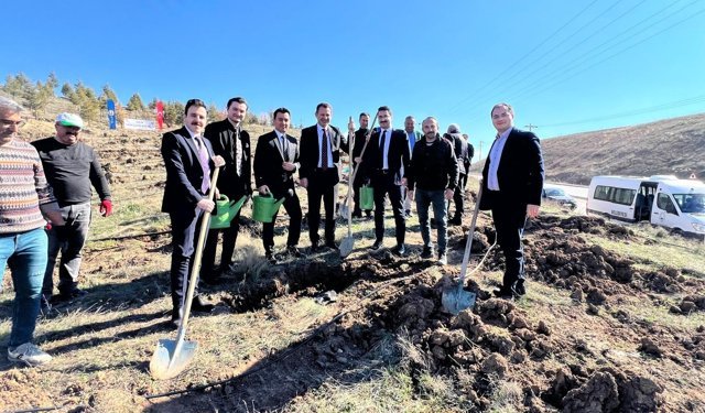 Adliye personeli fidan dikti