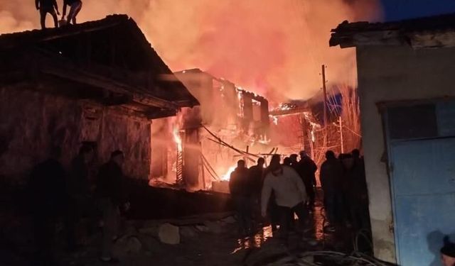 Köyde korkutan yangın: Evler ve ahırlar küle döndü